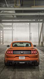Ford Mustang EcoBoost High Performance Package 2019 года (NA)